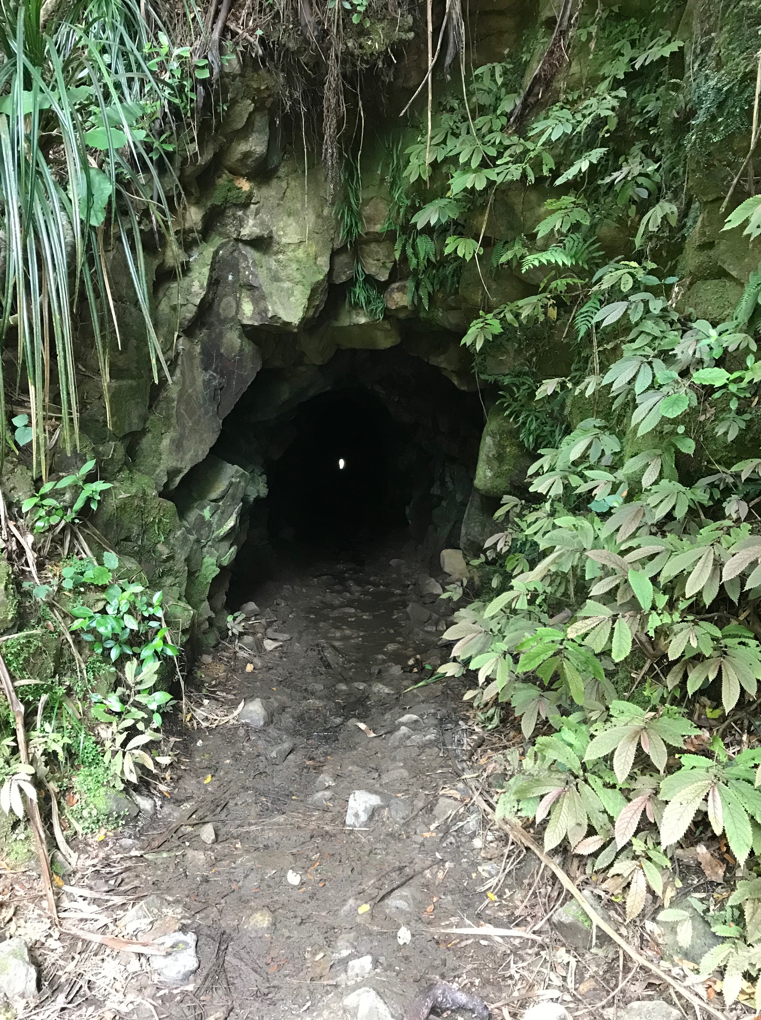 Tunnel sous la montagne Karangahake